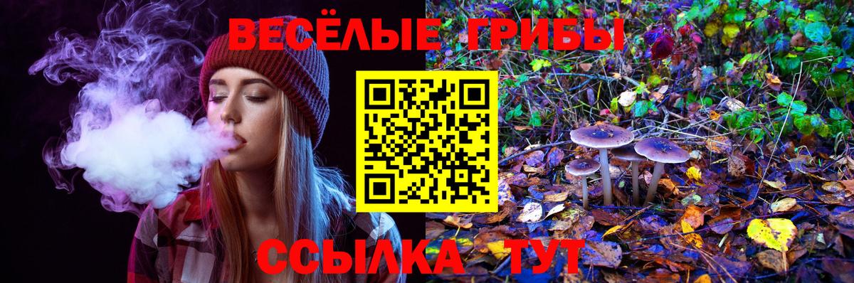 Псилоцибиновые грибы прущие грибы  даркнет сайт  Москва  Вход с VPN 