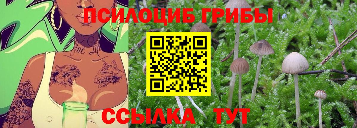 Галлюциногенные грибы MAGIC MUSHROOMS Москва